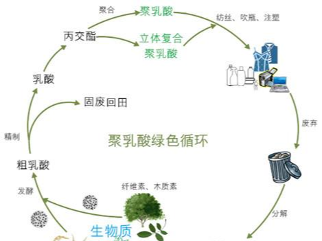 可降解物料是什么？有哪些類別及用途？